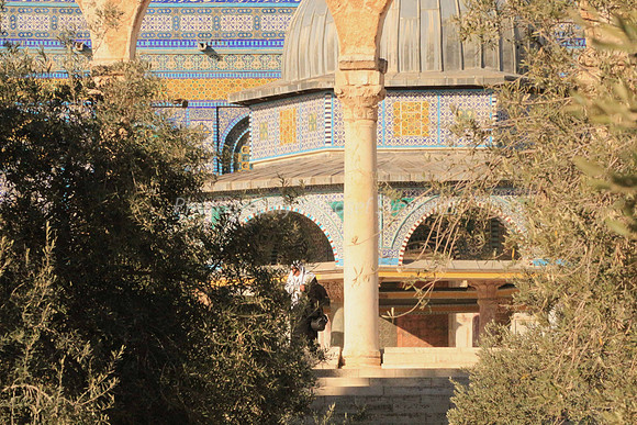 140209-HarHabayit-9864