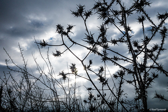 Overcast Skies 200226-1