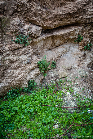 Cracks in Rock Wall 180102-7