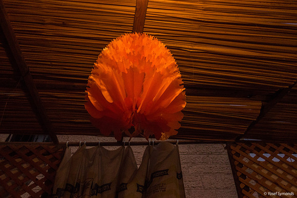 Red Sukkah Decoration 191017-2