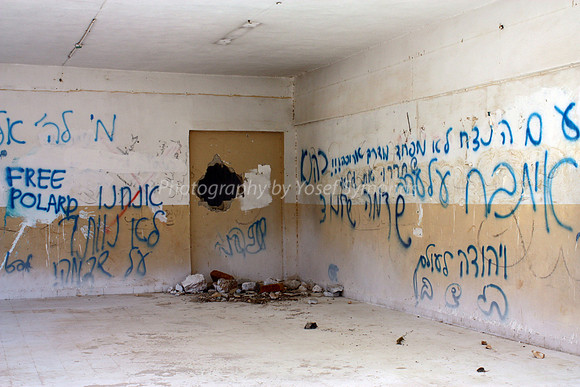 Graffiti Walls 1