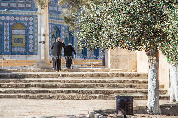 Women Privileged to Pray in Dome of Rock