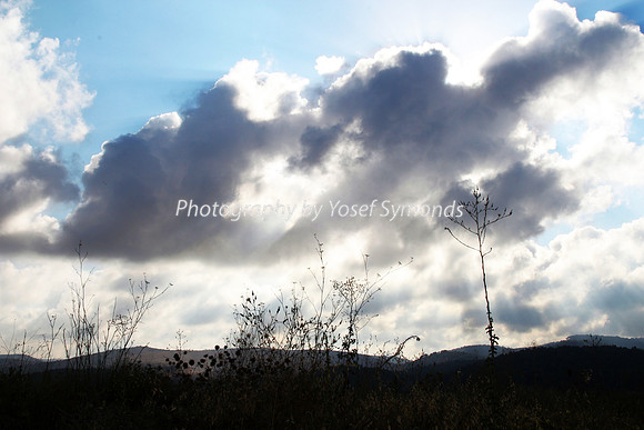 Mishkafayim 2014 Q3 7990B