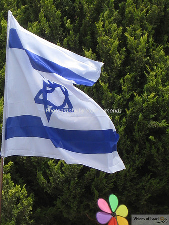 Israel Flag and Child's Wind-Vane