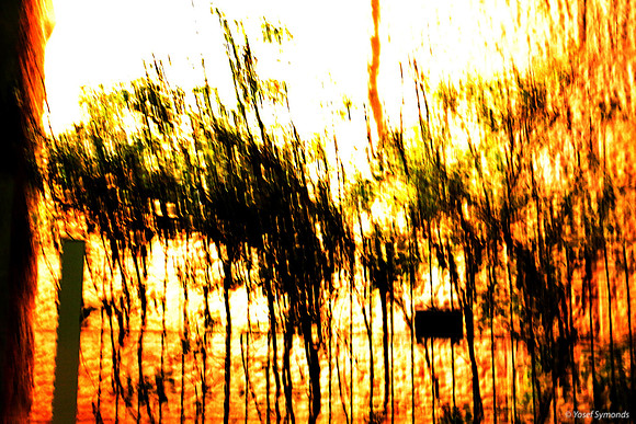 Chanukiah Ablaze