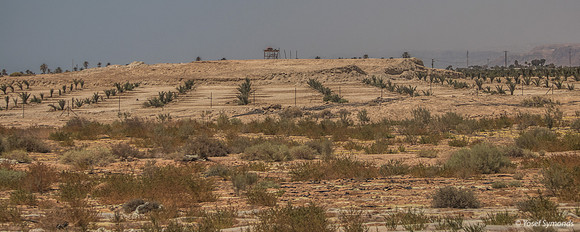IMG_4880