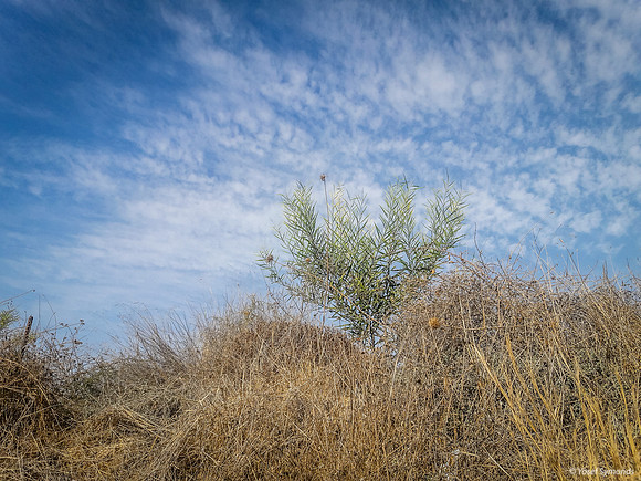 Edge of Empty Lot 1