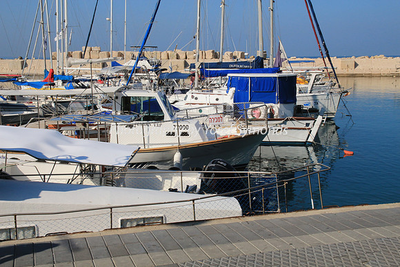 Jaffa Fishing Port