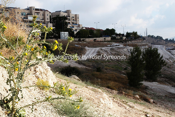 Mishkafayim 2014 Q3 7994A