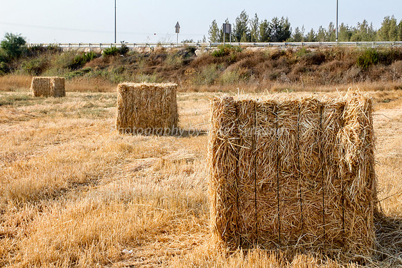 Haystacks in Field 170721-5