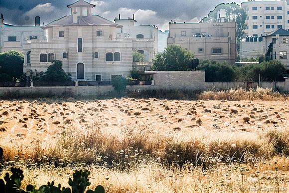 Arab Homes 220615-12