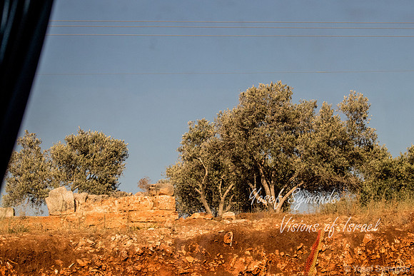 Ruins on Roadside Ridge 220615-1