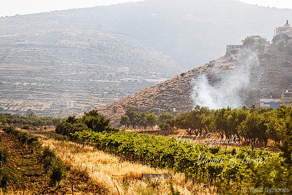 Arab Town on Hillside 220615-12