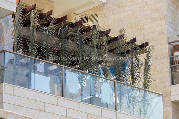 Upright Sukkah 1