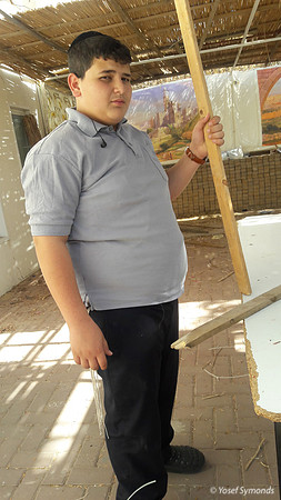 Building a Succah 4