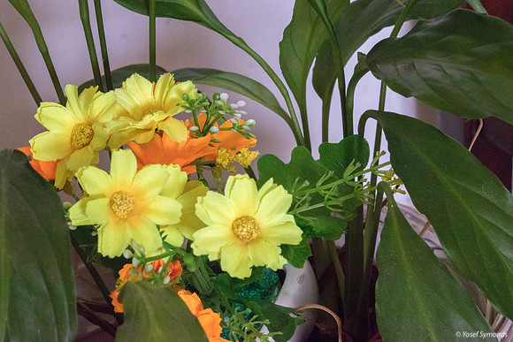 Artful Flowers 190908-1
