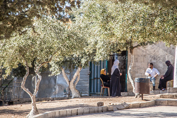 Locals Discuss at Line of Northern Har Habayit Wall 1