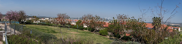 Katlav Park Trees Panorama 2