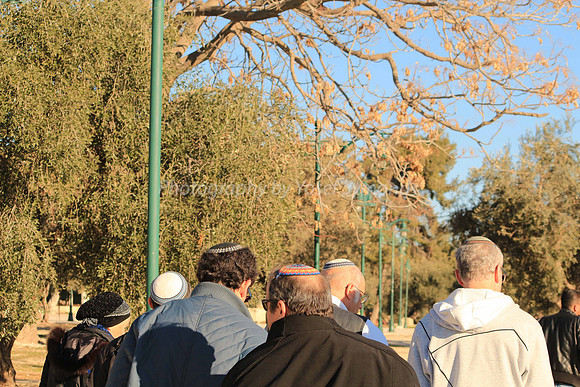140209-HarHabayit-9794