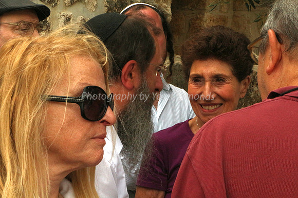 Telling the Story (7)