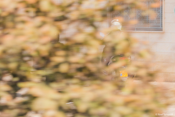Cyclist Through Trees 221107-1
