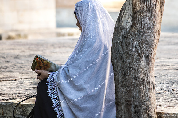 Arab Woman Reading 240605-3