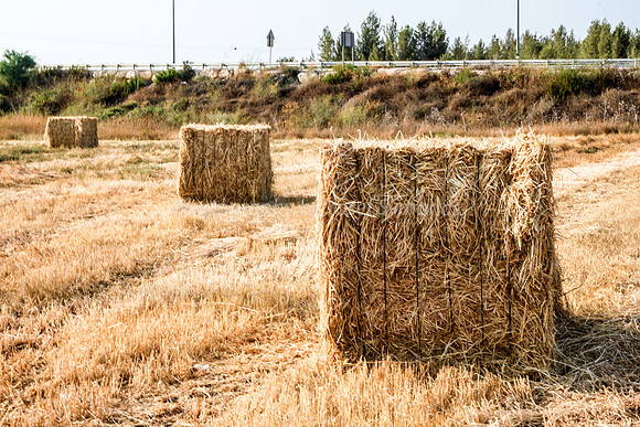 Haystacks in Field 170721-9