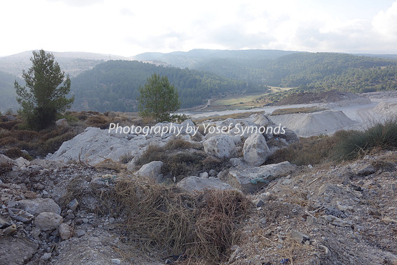 Mishkafayim 2014 Q3 DSC02141