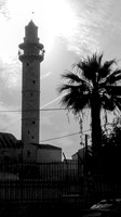 Ramle Minaret and Tree 2