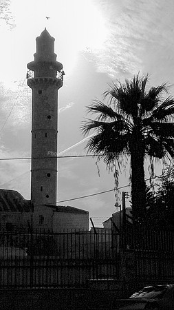 Ramle Minaret and Tree 2