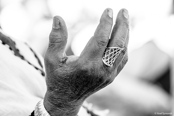 The Praying Hand 221123-2