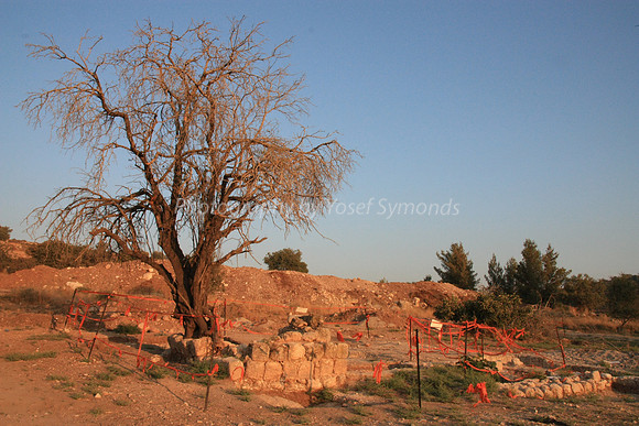 Mem 3 Antiquities Ramat Beit Shemesh  (2)