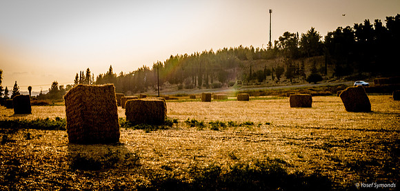 Haystacks in Field Against Sun 170721-8