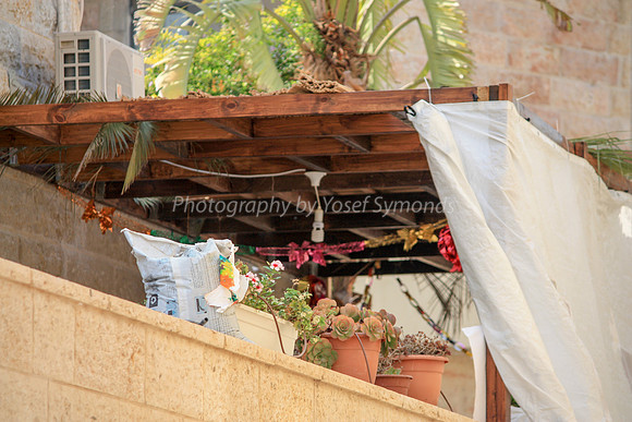 Party Sukkah 2