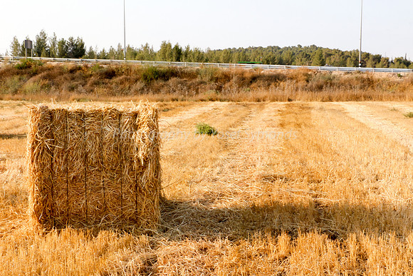 Haystack in Field 170721-8