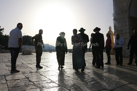 Walking in Contemplation 10