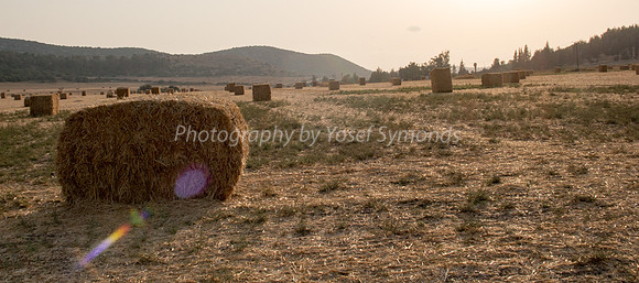 Haystacks in Field Against Sun 170721-7