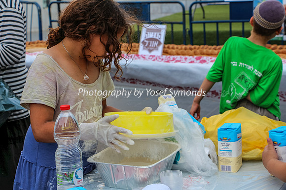 150702-NaimiMall_ArtsFair-5699