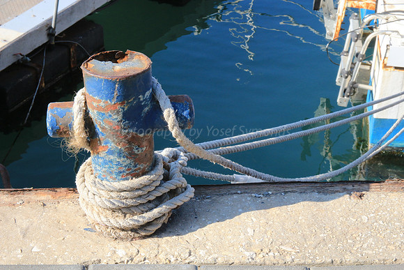 Jaffa Fishing Port