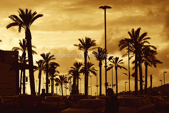 Tropical Mall Beit Shemesh