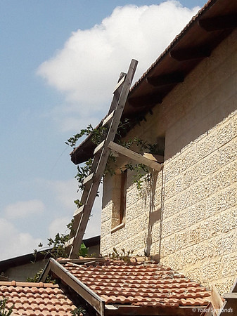 Improvised Ladder Access 190909-2