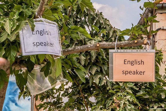 English Speaker Tree-171006-11