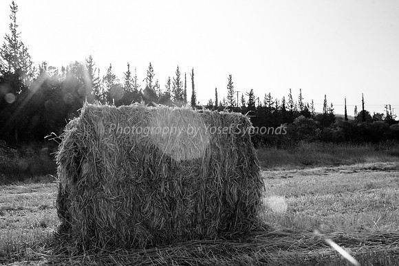 Haystack in Flare 170721-15