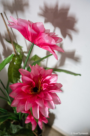 Pink Plastic Flowers 1