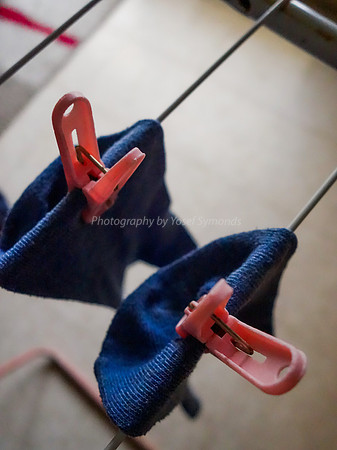 Sox on Drying Rack 9
