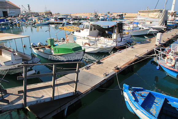Jaffa Fishing Port