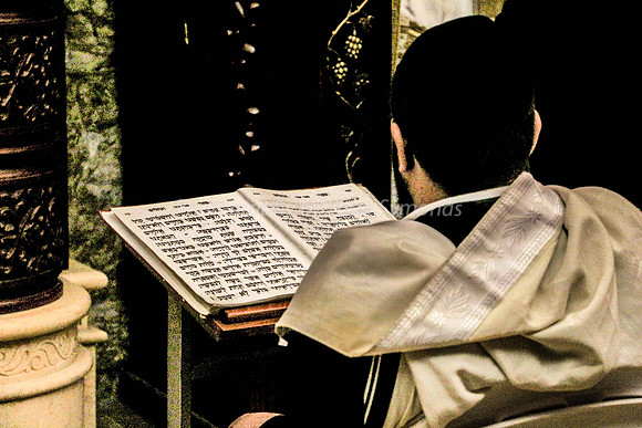 Man Reads Psalms at Kotel 5