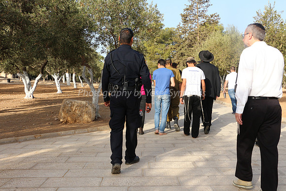Walking and Thinking 161009-2