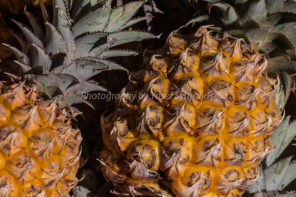 Pineapple 2