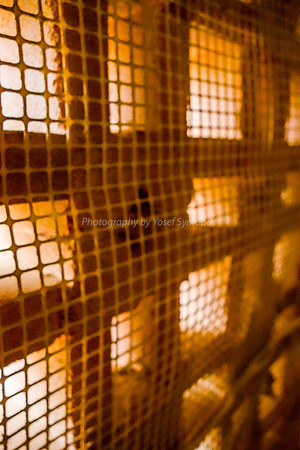 Bird Netting Over Hollow Blockwork 3